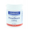 Lamberts Crataegus 2500 mg (hawthorn) 60 tabletten