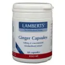 Lamberts Gember (ginger) 60 vcaps