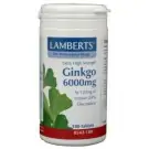 Lamberts Ginkgo 6000 180 tabletten