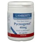 Lamberts Pijnboombast extract (Pycnogenol 40 mg) 60 vcaps