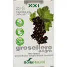 Soria Ribes nigrum XXI 30 capsules