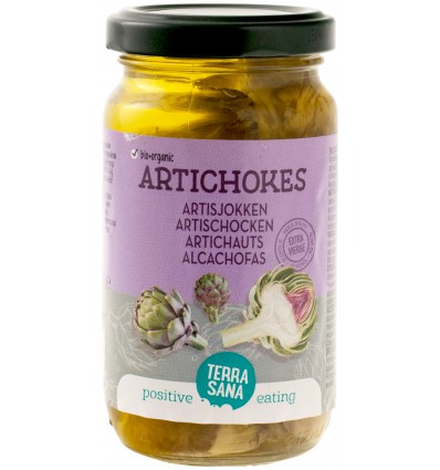 Natuurvoeding Terrasana Artisjokken in olijfolie biologisch 170 gram kopen