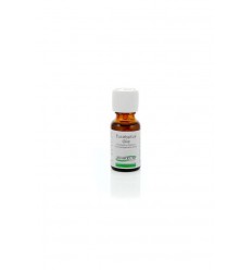 Ginkel's Eucalyptusolie 80-85% 15 ml