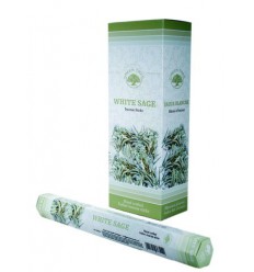 Green Tree Wierook witte salie 20 stuks | Superfoodstore.nl