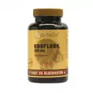 Artelle Knoflook 500 mg +250 mg lecithine 100 capsules