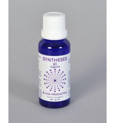 Vita Syntheses 61 cognitie 30 ml