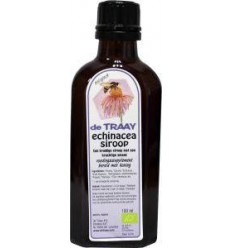 Voedingssupplementen De Traay Echinacea siroop eko 100 ml kopen