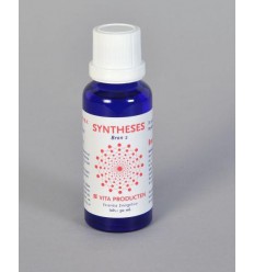 Vita Syntheses bron 2 Psyche 30 ml
