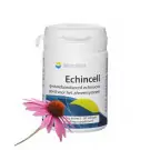 Springfield Echincell echinacea extract 60 softgels