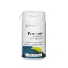 Springfield Ferrincell 44 mg - ijzer pyrofosfaat 5 mg 90 vcaps