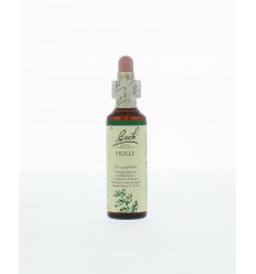Bach Holly / hulst 20 ml | Superfoodstore.nl