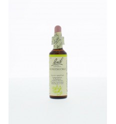 Bach Honeysuckle/kamperfoelie 20 ml