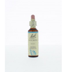 Bach Rock water / bronwater 20 ml | Superfoodstore.nl