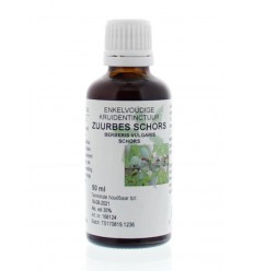 Natura Sanat Berberis vulgaris / zuurbes wortelschors tinctuur 50 ml