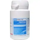 DNH Protexa ogolith 140 tabletten