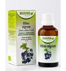 Biover Ribes nigrum 50 ml