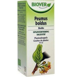 Biover Peumus boldus 50 ml | Superfoodstore.nl