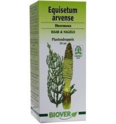 Biover Equisetum arvense tinctuur 50 ml