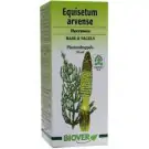 Biover Equisetum arvense tinctuur 50 ml