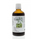 Natura Sanat Alchemilla vulgaris / vrouwenmantel tinctuur 100 ml