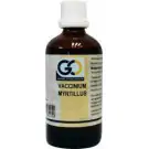 GO Vaccinium myrtillus 100 ml