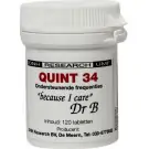 DNH Quint 34 120 tabletten