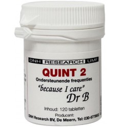 DNH Quint 2 120 tabletten