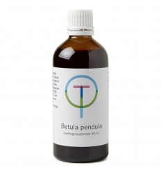 Therapeutenwinkel Betula pendula ruwe berk 100 ml