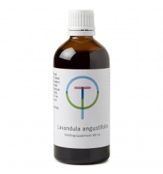 Therapeutenwinkel Lavendula angustfolia 100 ml
