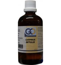 GO Carpinus betulus 100 ml