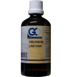 GO Viburnum lantana 100 ml | Superfoodstore.nl