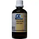 GO Viburnum lantana 100 ml