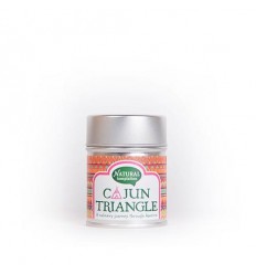 Natural Temptation Cajun triangle blikje natural spices biologisch 50 gram