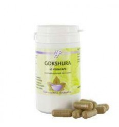 Holisan Gokshura 60 capsules | Superfoodstore.nl