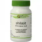 Surya Shilajit 60 tabletten