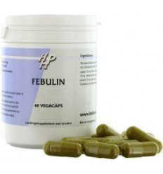 Holisan Febulin 60 capsules