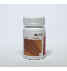 Ayurveda Health Energie 60 tabletten