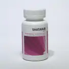Ayurveda Health Shatavari 60 tabletten