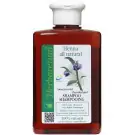 Herboretum Henna all natural shampoo voedend 300 ml