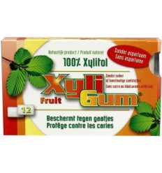 Kauwgom Xyligum Fruit 15 gram kopen