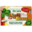 Xyligum Fruit 15 gram