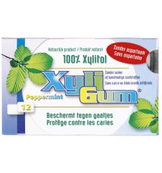 Kauwgom Xyligum Peppermint 15 gram kopen