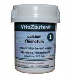 Vitazouten Calcium fluoratum Vitazout Nr. 01 120 tabletten