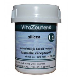 Celzouten Vitazouten Silicea VitaZout Nr. 11 120 tabletten kopen