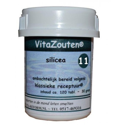 Vitazouten Silicea VitaZout Nr. 11 120 tabletten