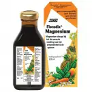 Floradix Magnesium 250 ml