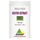 SNP Oester extract megapack 750 capsules