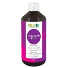 Vitasil Collagen plus 500 ml
