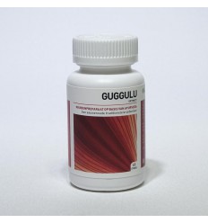 Ayurveda Health Guggulu 60 tabletten
