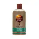 Traay Bee Honest Shampoo rozemarijn & cipres 250 ml